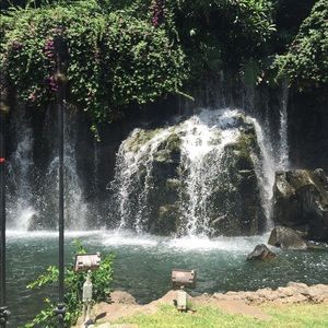 Meet your Posher, Muna